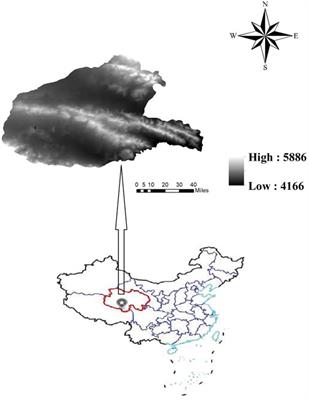 Relationship between species distribution of sandy alpine grasslands and microtopography in the source regions of Yangtze river